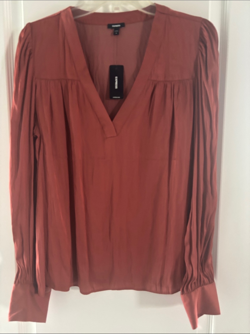 Express Burnt Orange V-Neck Long Sleeve Blouse